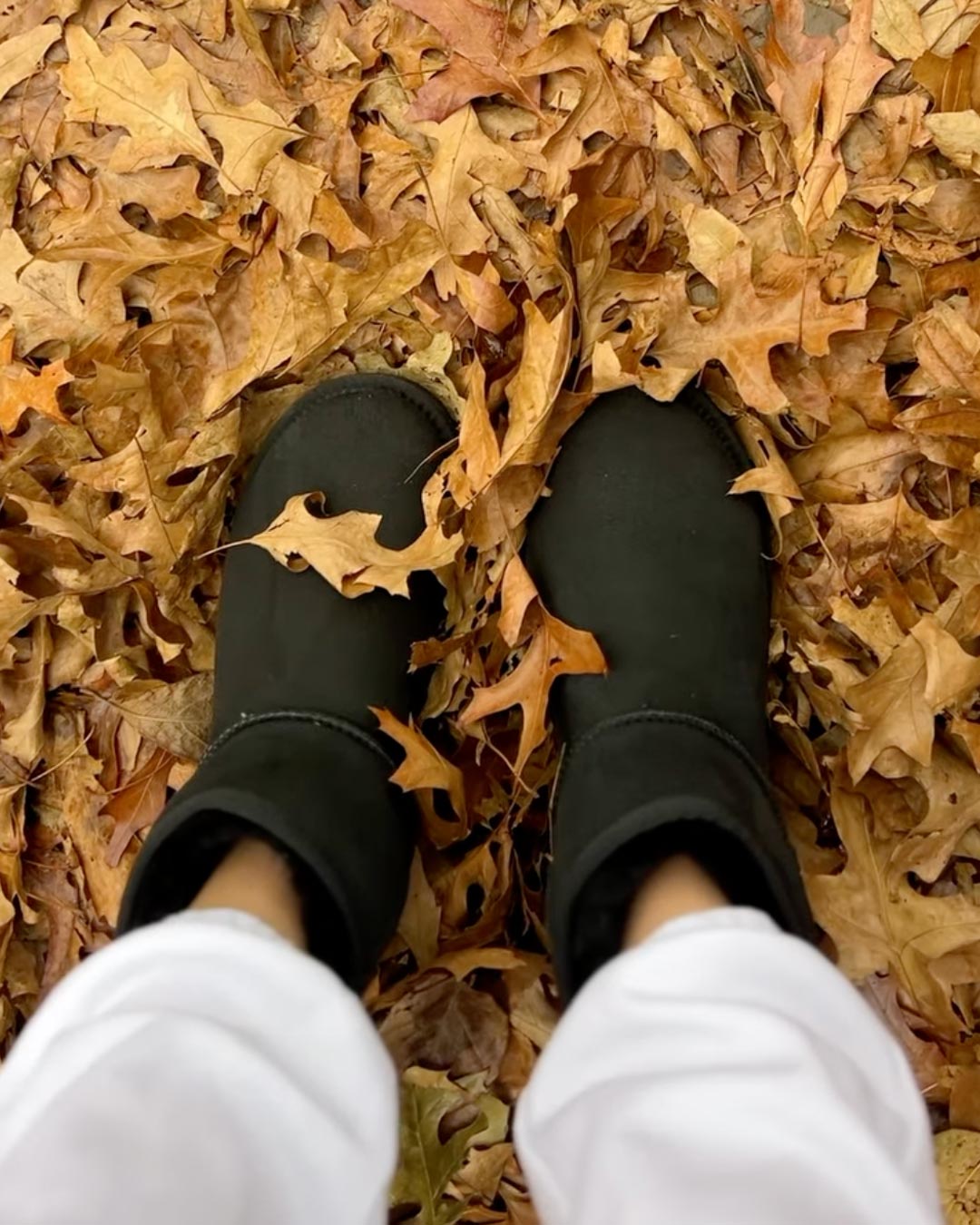 classic ultra short ugg boots social