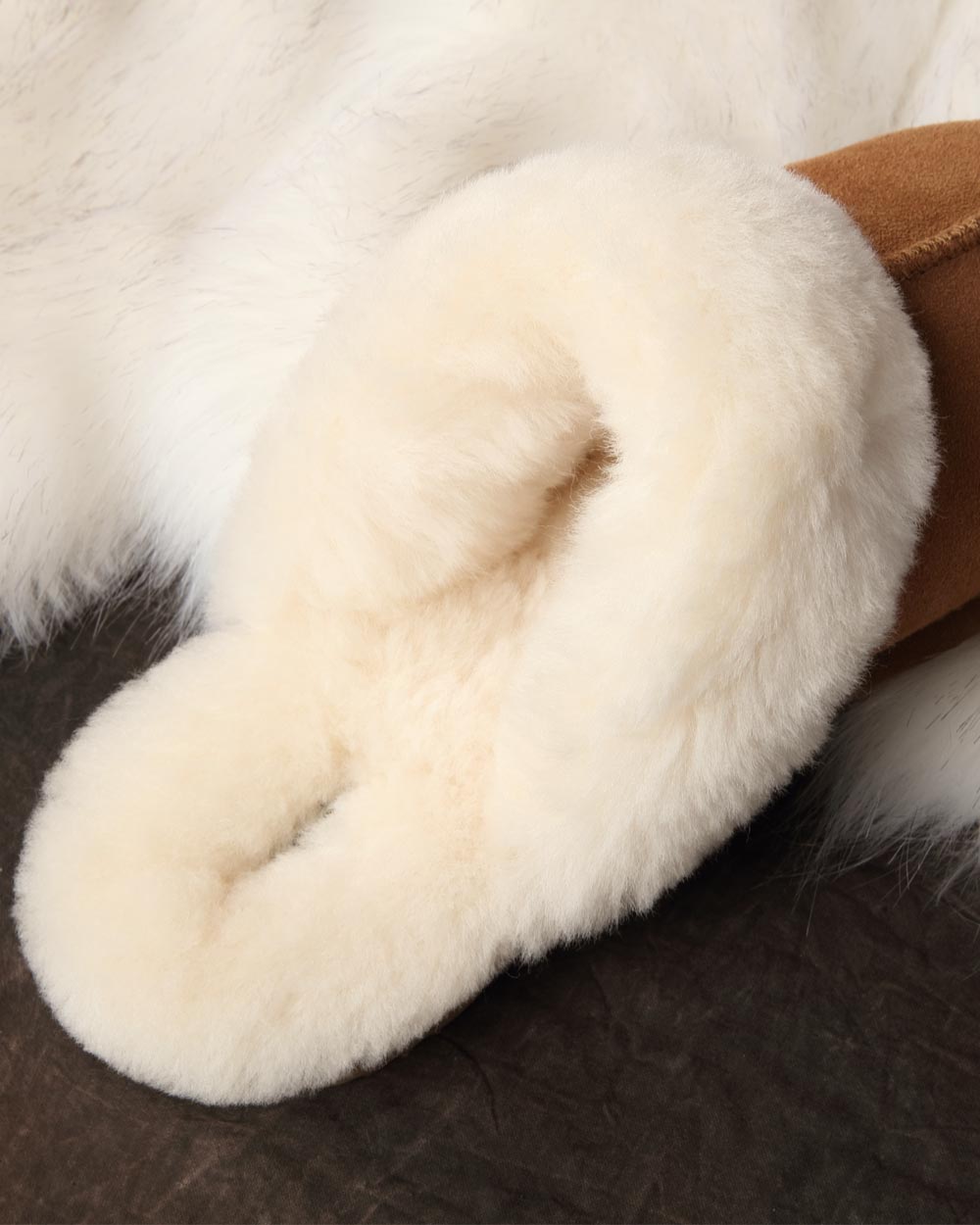 dali ugg scuffs live